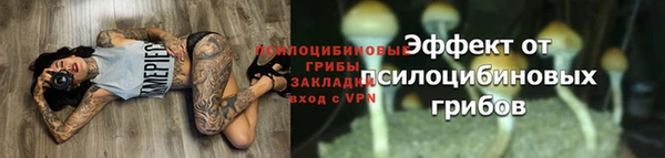 трава Козельск