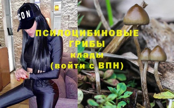 трава Козельск